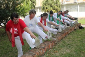 IMG_0977